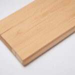 poplar