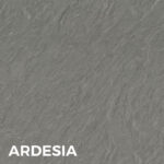 Ardesia